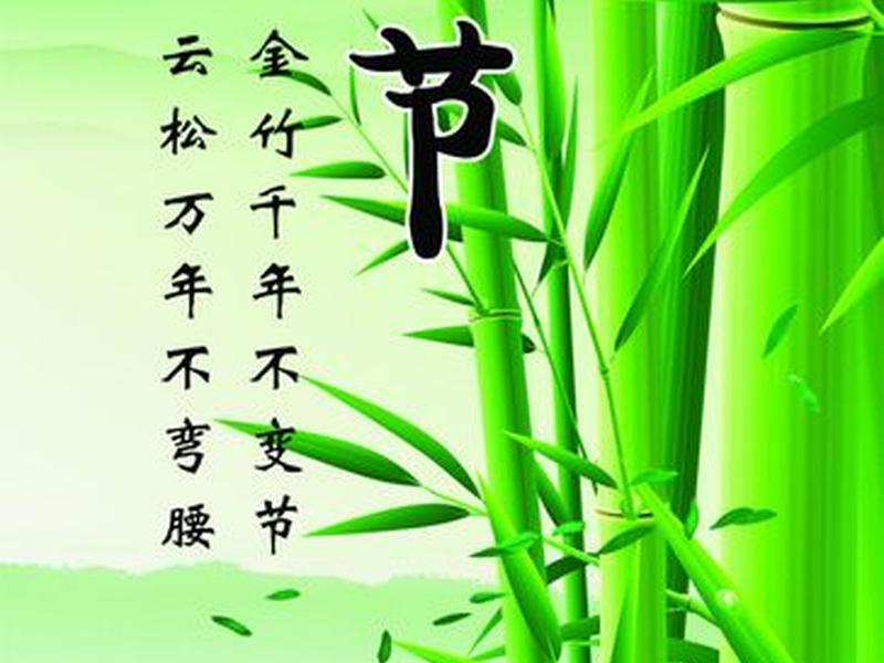 竹子建站怎么收费的;竹子建站模板怎么下载 竹子建站怎么收费的;竹子建站模板怎么下载