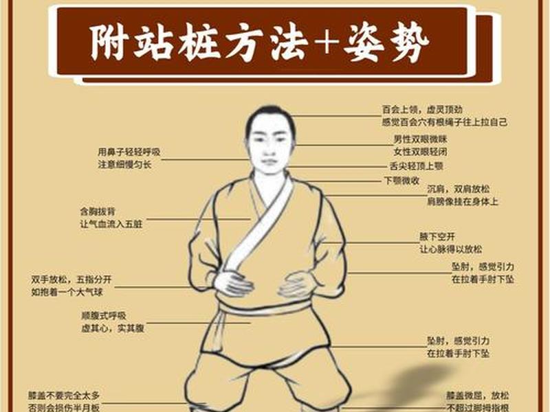 免费站桩教学视频完整版（免费站桩教学视频完整版大全）