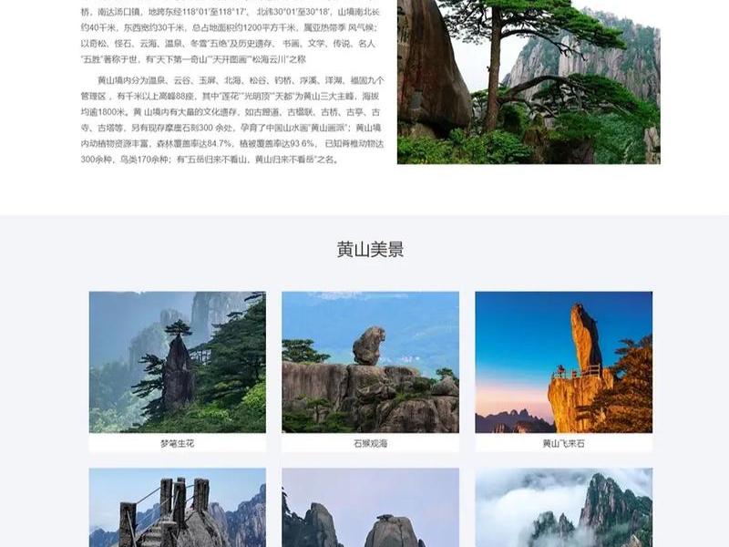 展示网站有哪些,展示网站有哪些类型 展示网站有哪些,展示网站有哪些类型
