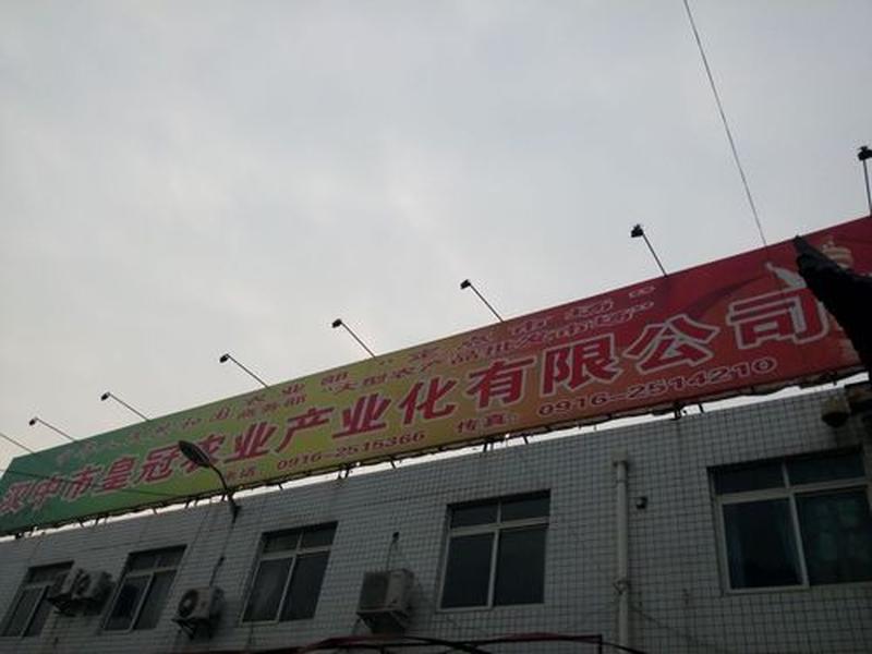 陕西网建实业有限公司汉中(陕西网建实业有限公司汉中分公司) 陕西网建实业有限公司汉中(陕西网建实业有限公司汉中分公司)
