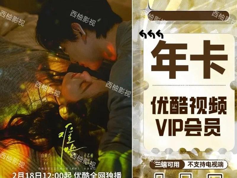 影视vip会员如何在另一个电视看、影视vip会员如何在另一个电视看电视剧 影视vip会员如何在另一个电视看、影视vip会员如何在另一个电视看电视剧