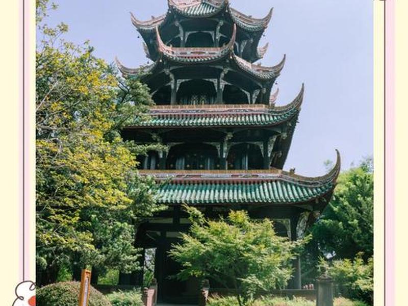 叶子搭建望江楼,叶子建造望江楼 叶子搭建望江楼,叶子建造望江楼