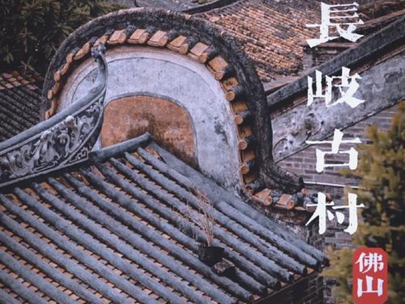芦苞在哪里(芦苞是哪里) 芦苞在哪里(芦苞是哪里)