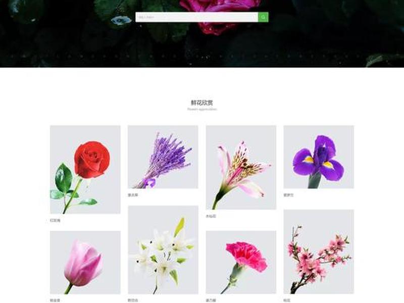 在线建站的网站哪家适合商城 在线建站的网站哪家适合商城用 在线建站的网站哪家适合商城 在线建站的网站哪家适合商城用