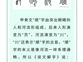 顺()推()；顺推和逆推什么意思