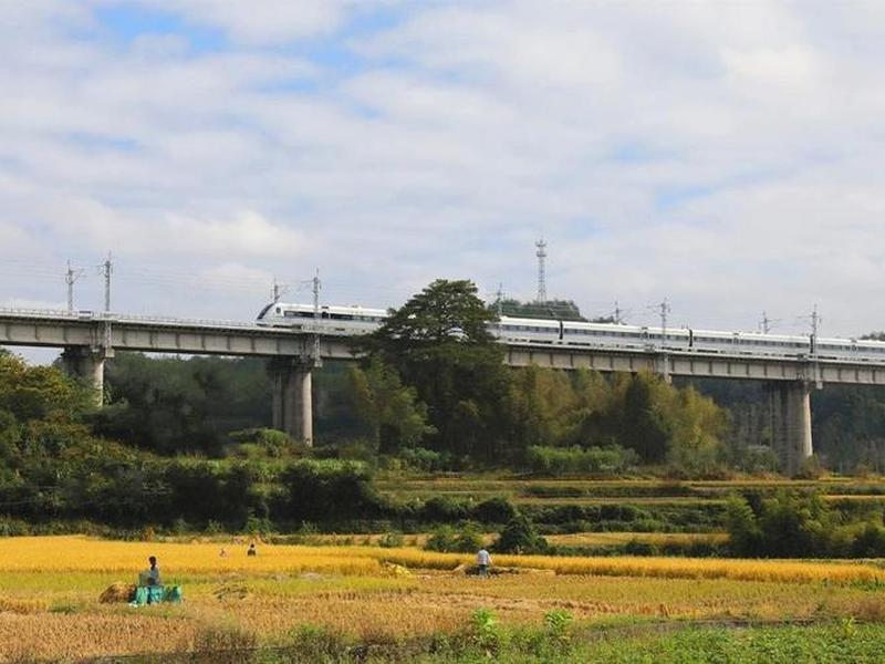 山南站建设现场、山南站建设现场图片 山南站建设现场、山南站建设现场图片