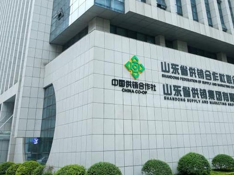山东网站建设 - 山东网站建设服务 山东网站建设 - 山东网站建设服务