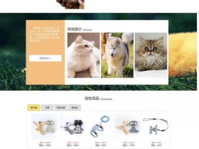 网页设计制作公司做什么，网页设计制作公司做什么的