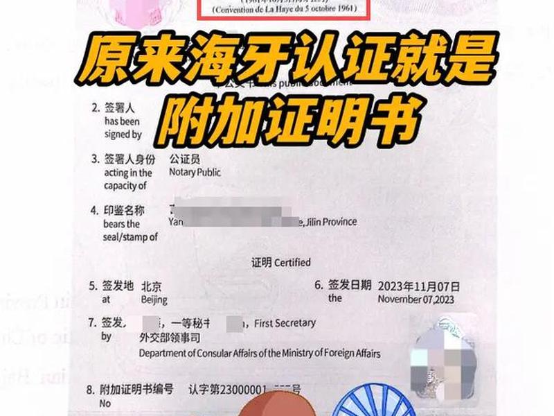 网络博士(网络博士项目海牙认证) 网络博士(网络博士项目海牙认证)