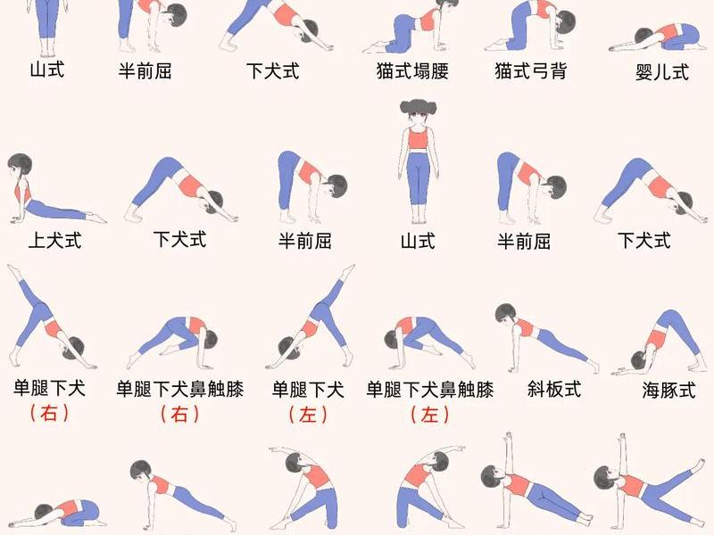 十分钟减掉大肚腩健身操(十分钟减掉大肚腩健身操动作) 十分钟减掉大肚腩健身操(十分钟减掉大肚腩健身操动作)