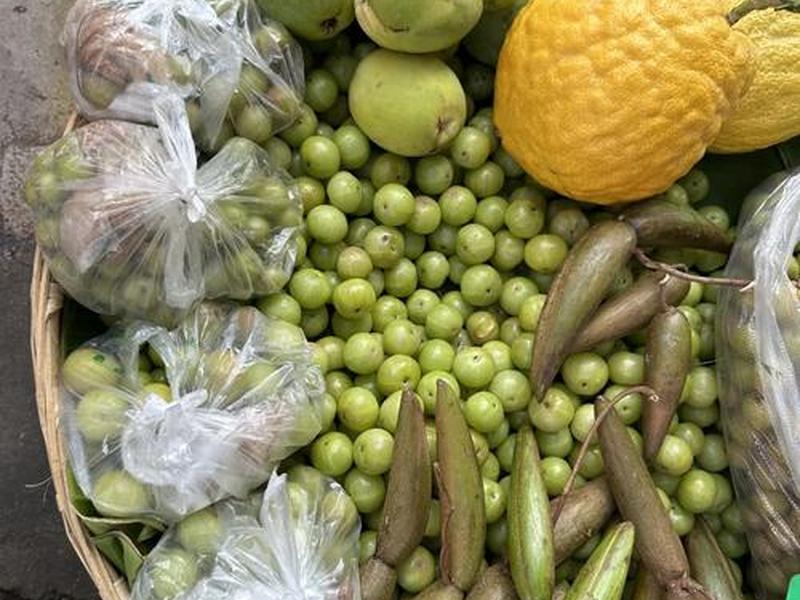 西双版纳出口产品、西双版纳进口食品市场 西双版纳出口产品、西双版纳进口食品市场