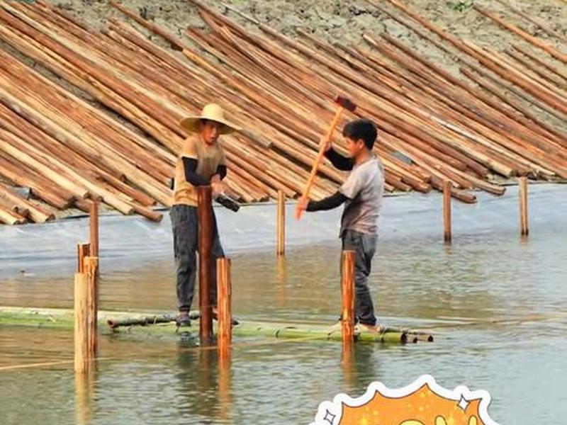 竹子建棚视频教程(竹子建棚视频教程图片) 竹子建棚视频教程(竹子建棚视频教程图片)