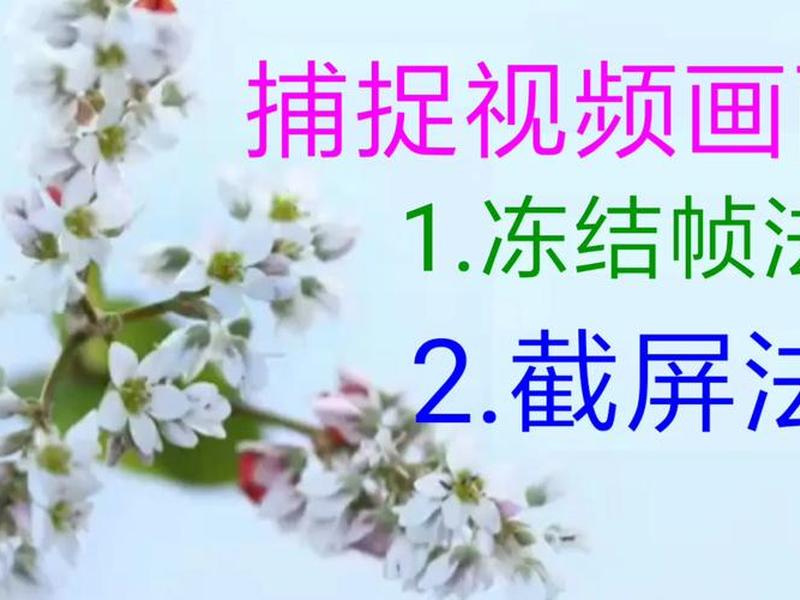 云美摄基础教程,云美摄基础教程视频 云美摄基础教程,云美摄基础教程视频