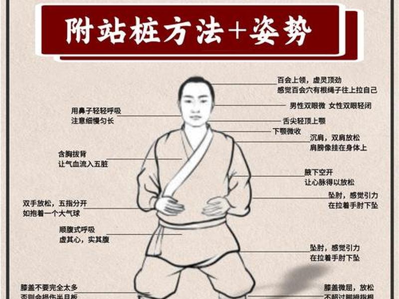 如何练站桩视频教程(如何练站桩视频教程完整版) 如何练站桩视频教程(如何练站桩视频教程完整版)