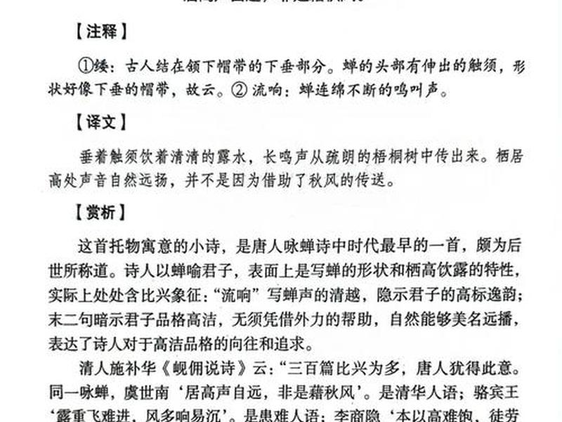 鸣婵网站 - 鸣蝉网站文章