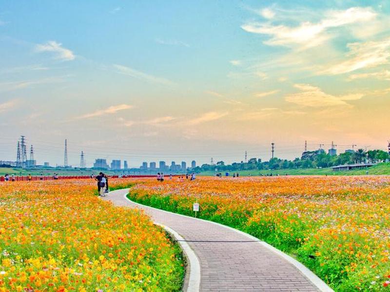 芦苞贴吧、芦苞风景区