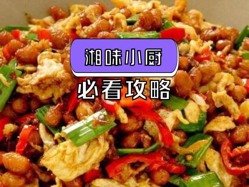 小厨说怎么样,小厨小味怎么样 小厨说怎么样,小厨小味怎么样