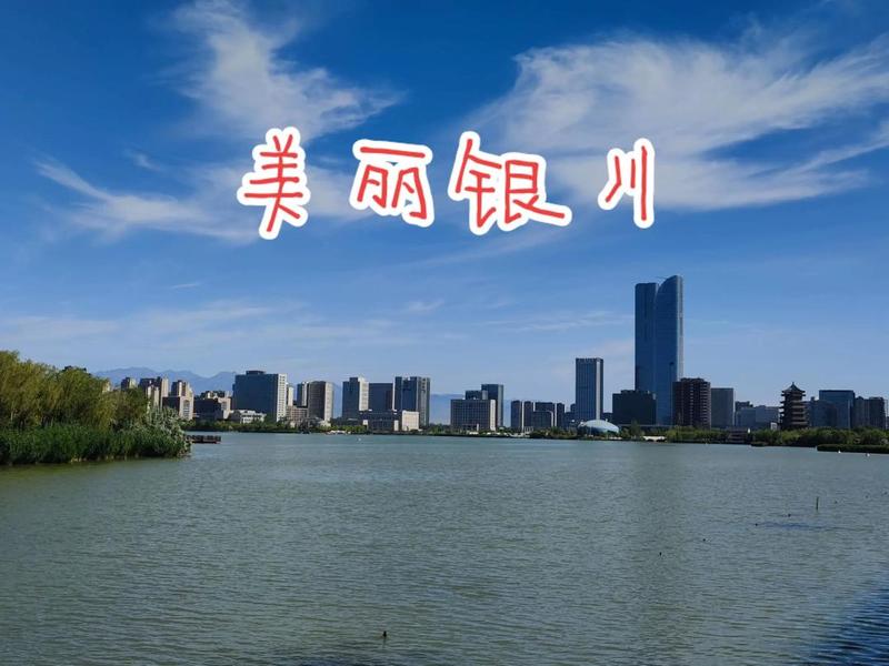 银川门户网 银川门户网站 银川门户网 银川门户网站