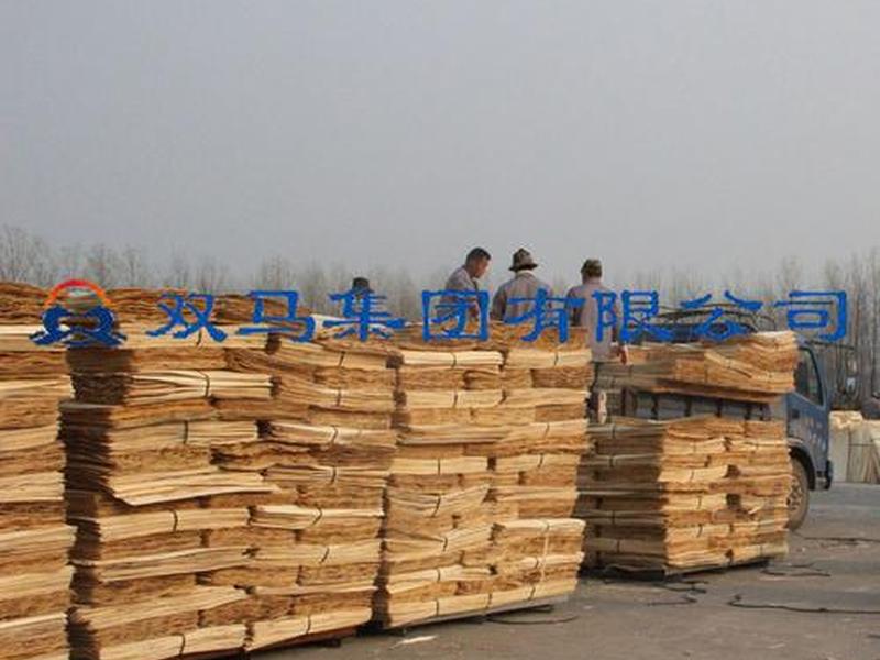 双马建站多少费用一个月;双马建筑模板能排第几名 双马建站多少费用一个月;双马建筑模板能排第几名