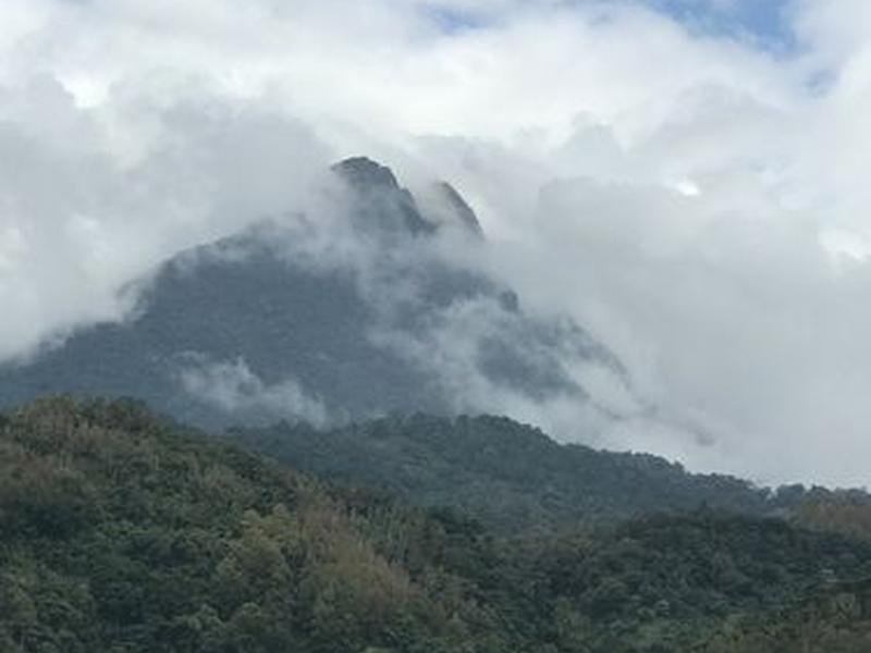 五指建站包括什么(五指建站包括什么地方) 五指建站包括什么(五指建站包括什么地方)