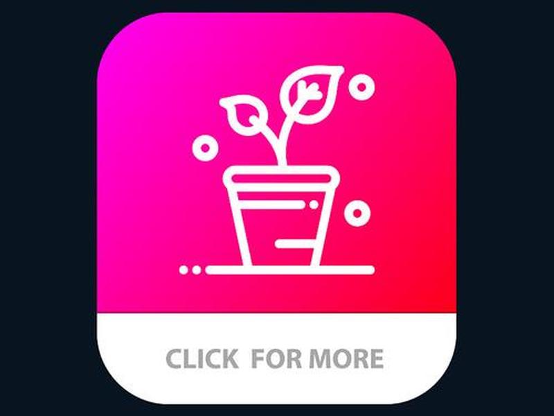 叶子app是干什么的,叶子app是干什么的软件 叶子app是干什么的,叶子app是干什么的软件