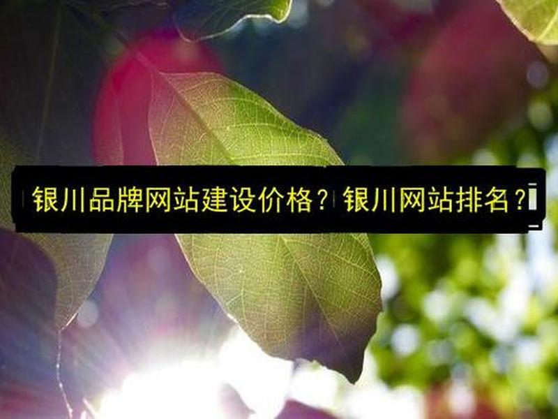 银川网站建设代理加盟;银川网站建设代理加盟公司 银川网站建设代理加盟;银川网站建设代理加盟公司