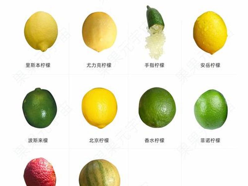 柠檬爱美，柠檬爱美之前名称