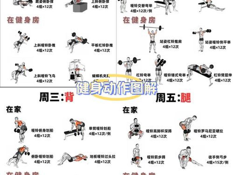 七天健身教程;七天健身教程视频全集 七天健身教程;七天健身教程视频全集