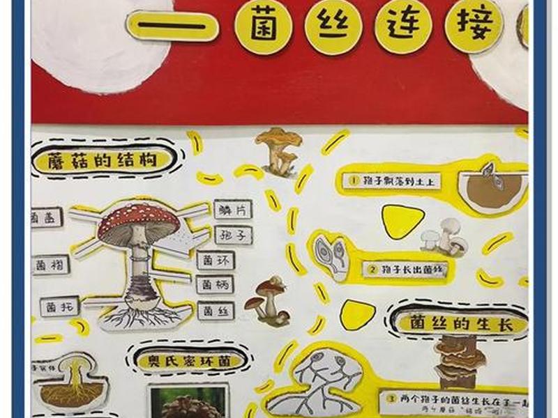 小蘑菇培育攻略;小蘑菇培育攻略大全 小蘑菇培育攻略;小蘑菇培育攻略大全