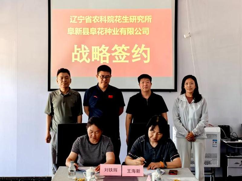 山西筹建店铺的成功案例、山西筹建店铺的成功案例分析 山西筹建店铺的成功案例、山西筹建店铺的成功案例分析