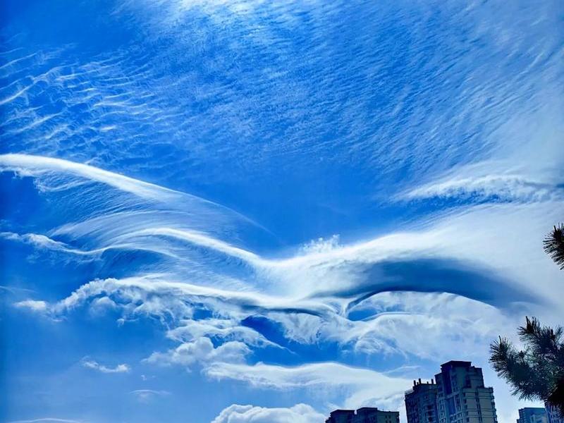 云翼 云翼