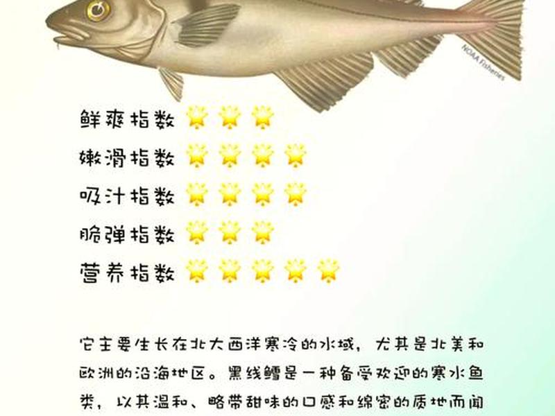 鳕鱼捕捞方式介绍 - 鳕鱼捕捞方式介绍怎么写 鳕鱼捕捞方式介绍 - 鳕鱼捕捞方式介绍怎么写