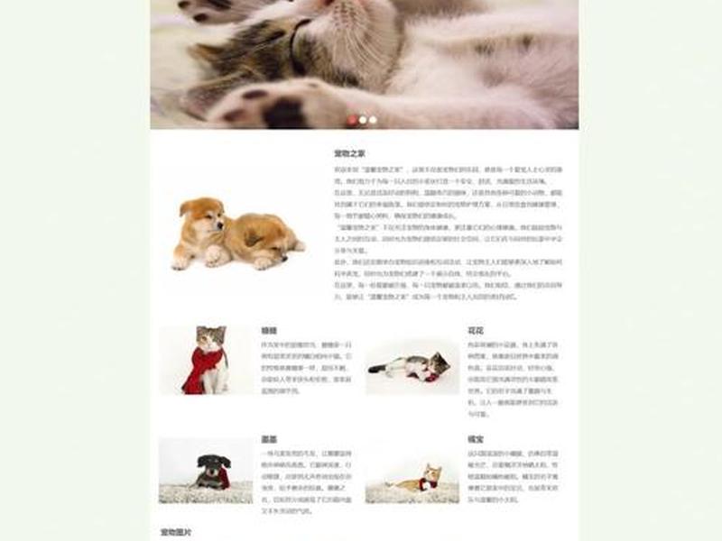 网页设计与制作怎么做、网页设计与制作怎么做ppt 网页设计与制作怎么做、网页设计与制作怎么做ppt