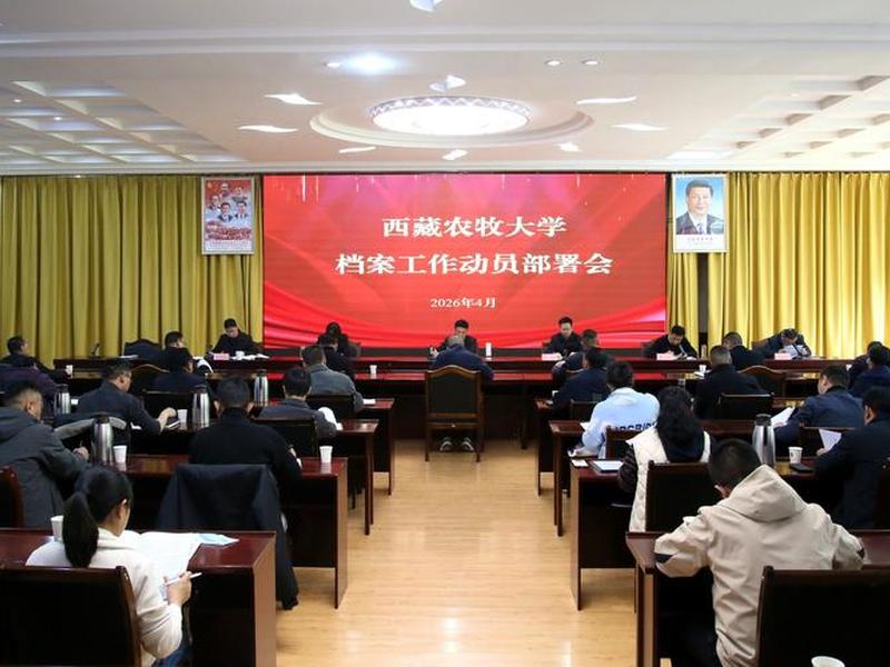 网站怎么建档案，网站怎么建档案资料