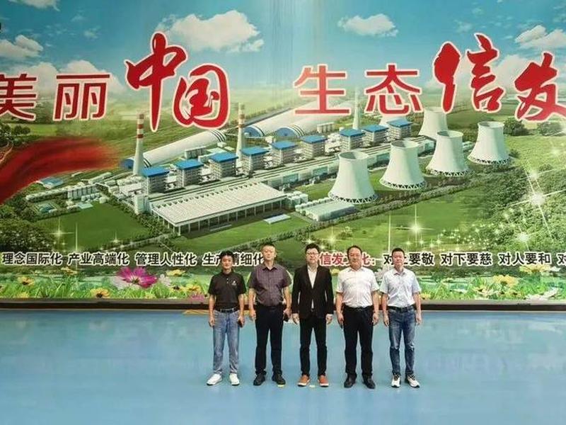 信发系统是什么（信发集团是做什么的）