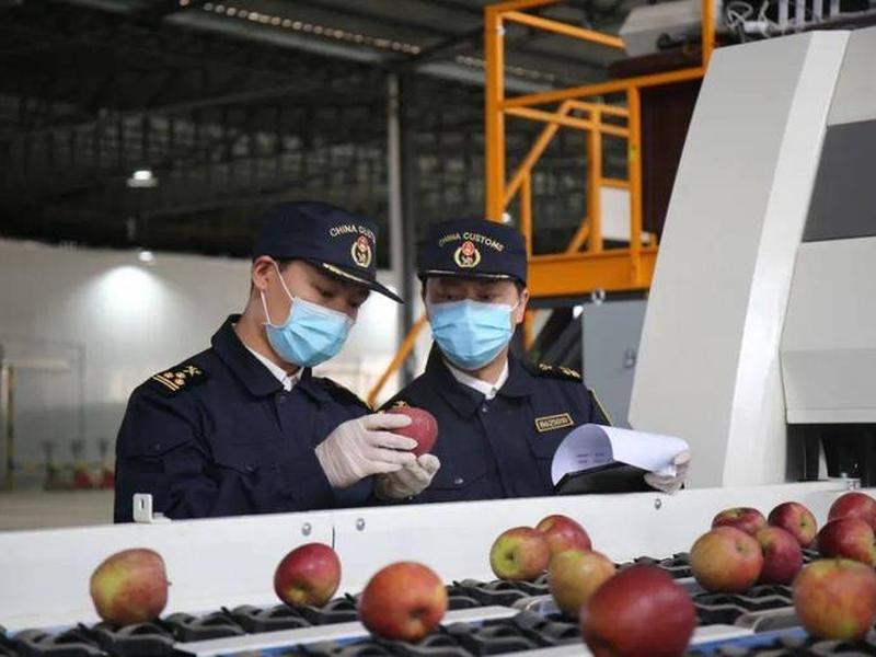 云南外贸出口(云南外贸进出口) 云南外贸出口(云南外贸进出口)