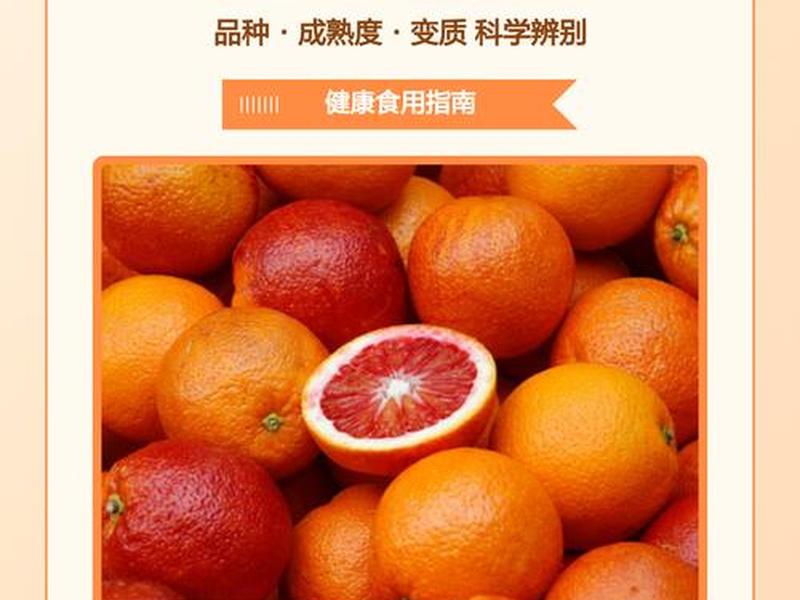 招商加盟橙子建站、橙子加盟店 招商加盟橙子建站、橙子加盟店