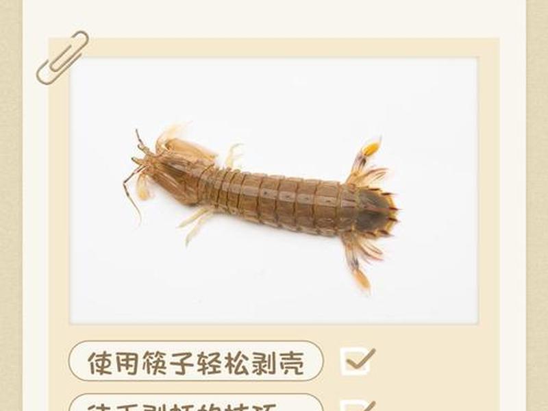 虾皮关键词广告怎么选 - 虾皮关键字广告怎么选词 虾皮关键词广告怎么选 - 虾皮关键字广告怎么选词