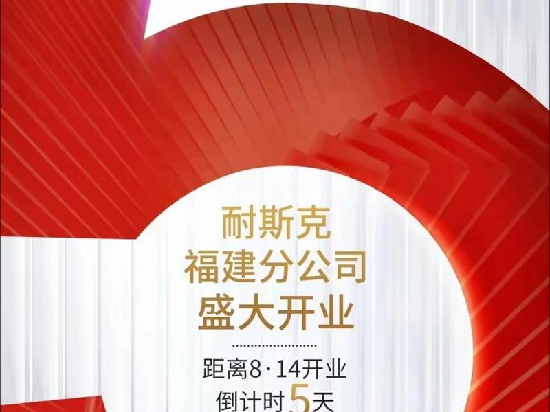 耐思克集团,耐斯克集团 耐思克集团,耐斯克集团