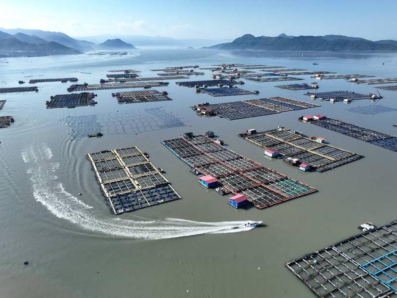 宁德霞浦建站教程;福建霞浦宁德 宁德霞浦建站教程;福建霞浦宁德