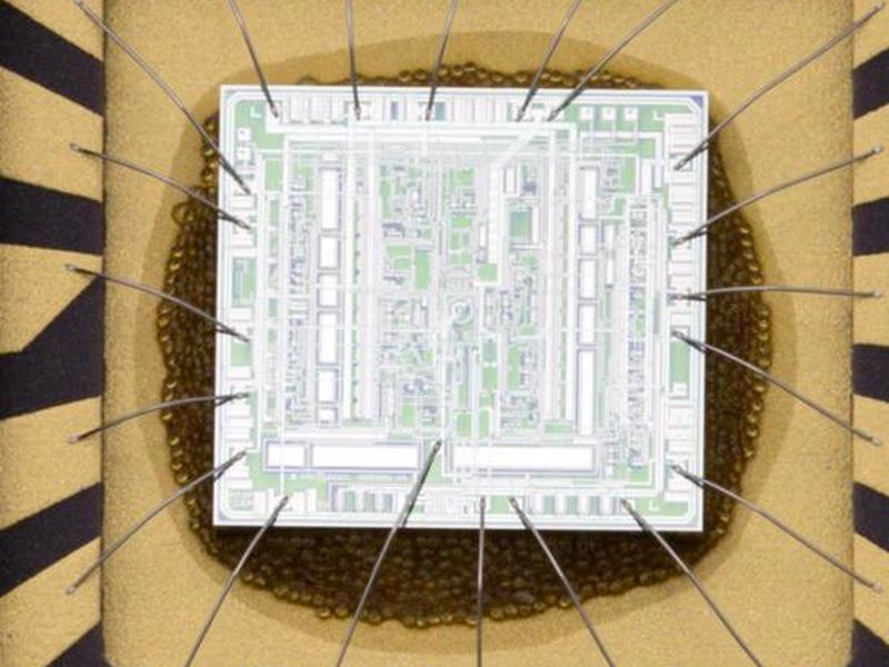 万能小偷批量建站教程视频 - 万能小偷批量建站教程视频大全 万能小偷批量建站教程视频 - 万能小偷批量建站教程视频大全