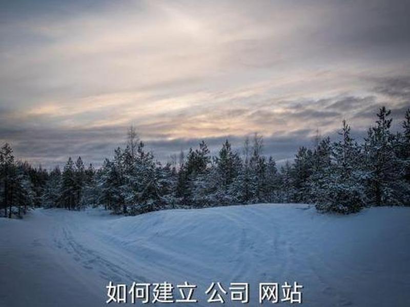 在服务器上php建站教程视频怎么下载 在服务器上php建站教程视频怎么下载不了 在服务器上php建站教程视频怎么下载 在服务器上php建站教程视频怎么下载不了