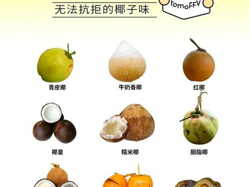 椰果摆摊选址技巧;椰果摆摊选址技巧图片 椰果摆摊选址技巧;椰果摆摊选址技巧图片