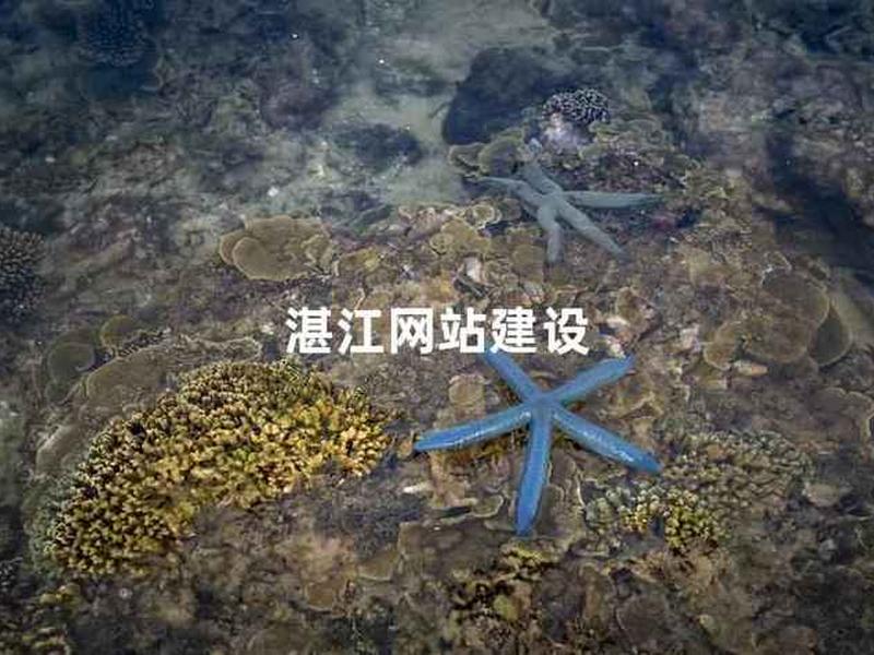 湛江建站平台(湛江网站建设平台) 湛江建站平台(湛江网站建设平台)