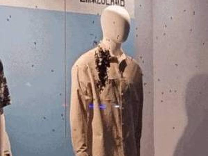 男子未关窗仅10分钟车内筑起蜂巢 男子未关窗仅10分钟车内筑起蜂巢