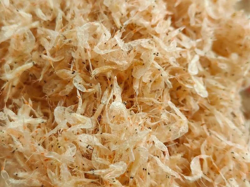 虾皮视频免广告(虾皮视频免广告版) 虾皮视频免广告(虾皮视频免广告版)