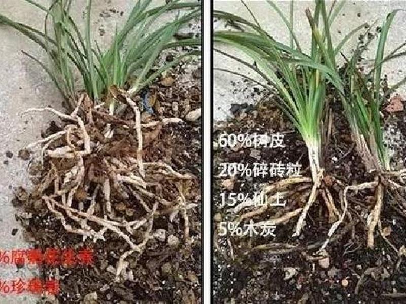 利用花生壳建个人网站 - 花生壳搭建个人网站 利用花生壳建个人网站 - 花生壳搭建个人网站