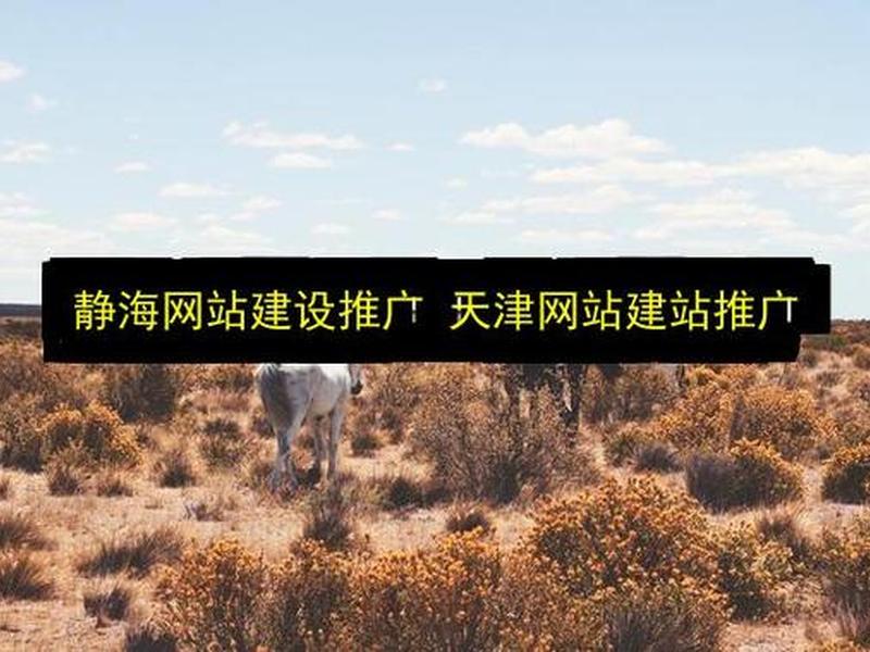 天津网站建设推广服务、天津网站建设推广服务中心官网 天津网站建设推广服务、天津网站建设推广服务中心官网
