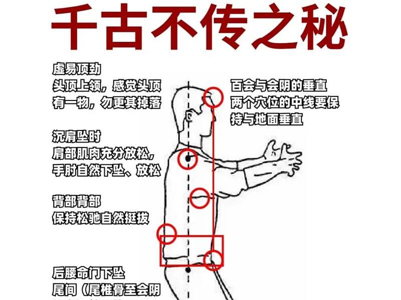 站桩入门基础;站桩入门基础知识 站桩入门基础;站桩入门基础知识