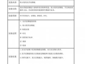 网站建设创建模板实验报告 网站建设创建模板实验报告总结